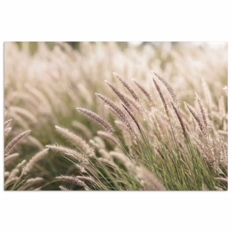 Poster - Gras - Close up - Groen — 1