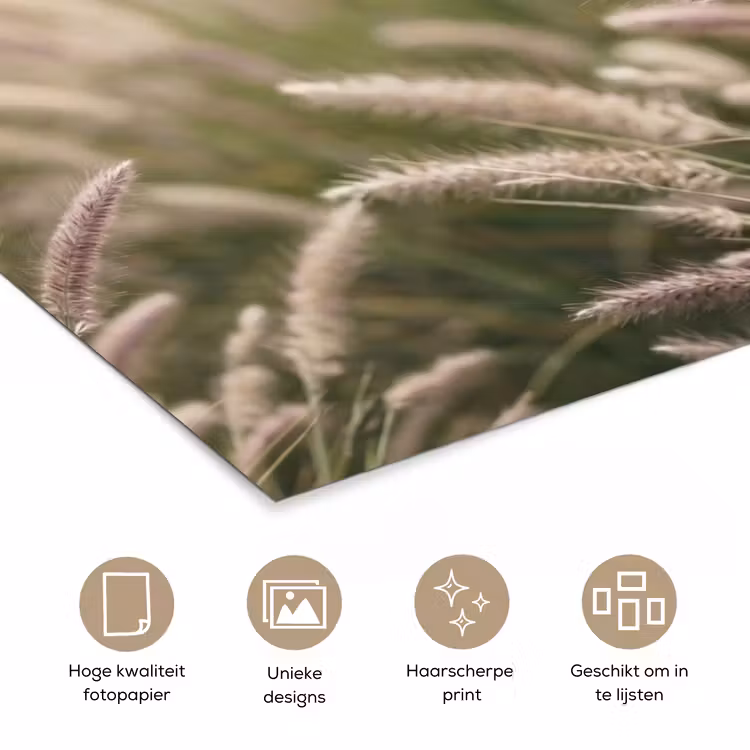Poster - Gras - Close up - Groen — 5
