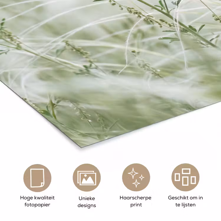 Poster - Grassen - Minimalistisch - Groen — 5