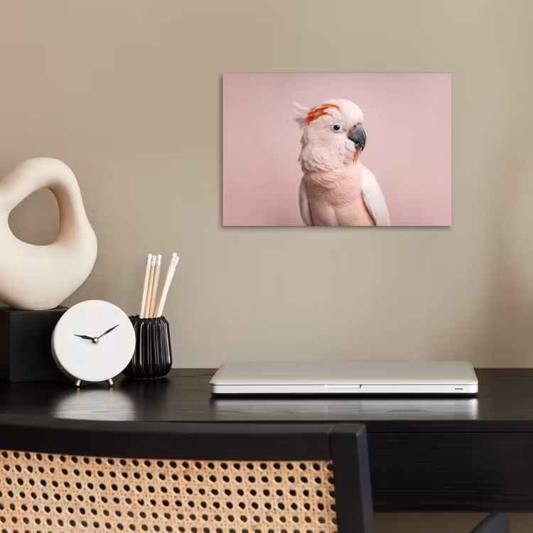 Poster - Kaketoe - Portret - Roze — 2