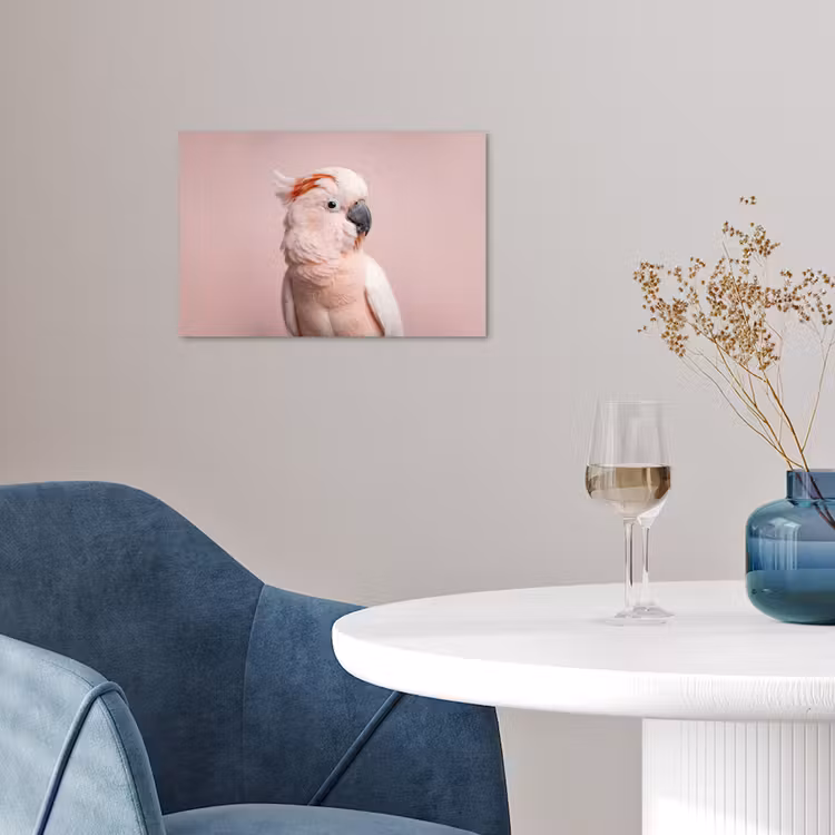 Poster - Kaketoe - Portret - Roze — 4
