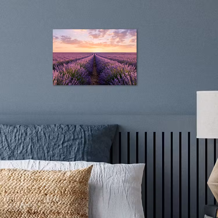 Poster - Landschap - Lavendelveld - Paars — 3
