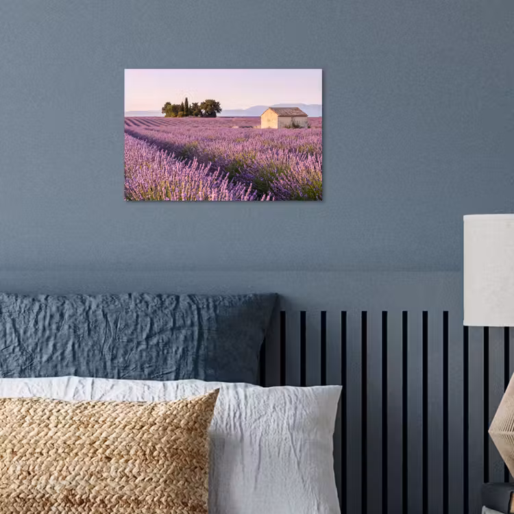Poster - Lavendel - Landschap - Sereen - Paars — 3