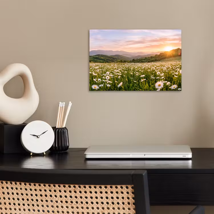 Poster - Madelief - Veld - Heuvels - Groen — 2