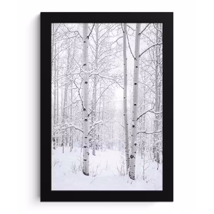 Poster met lijst - Berkenbomen - Sneeuw - Winter - Bos - Wit — 1