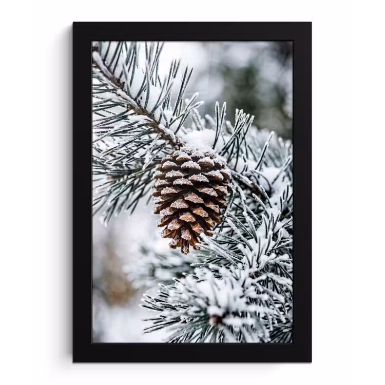 Poster met lijst - Dennenappel - Tak - Sneeuw - Winter - Sfeervol — 1