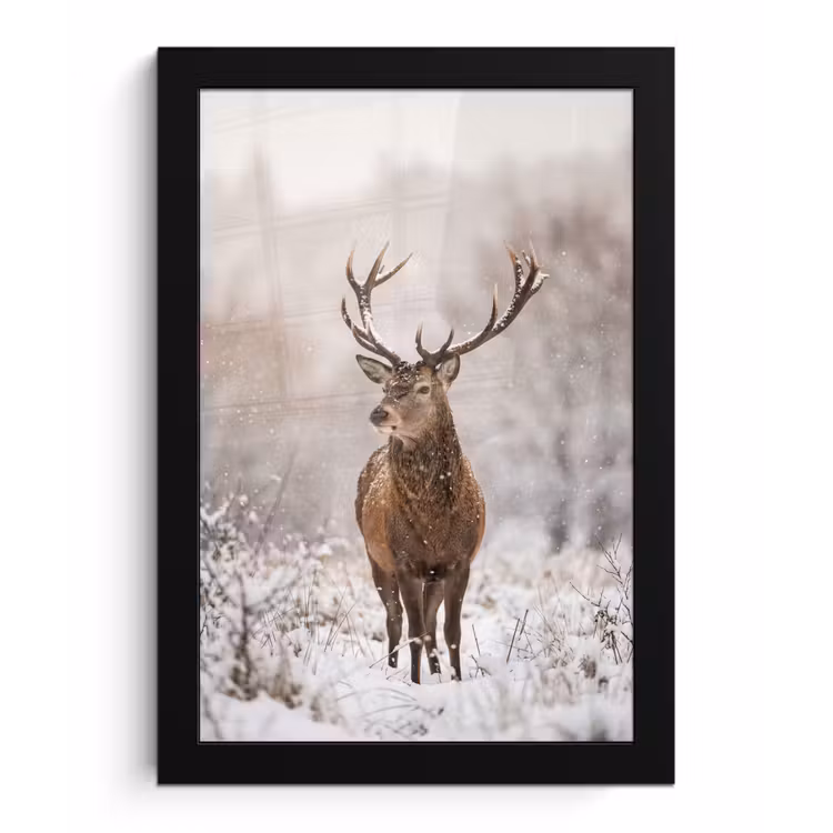 Poster met lijst - Edelhert - Bos - Sneeuw - Winter - Majestueus — 1