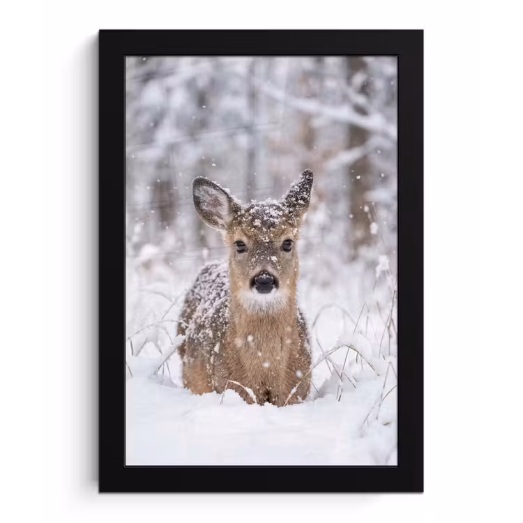 Poster met lijst - Hert - Sneeuw - Bos - Dieren - Vertederend — 1
