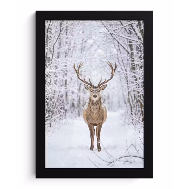Poster met lijst - Hert - Winter - Bos - Natuur - Wit — 1