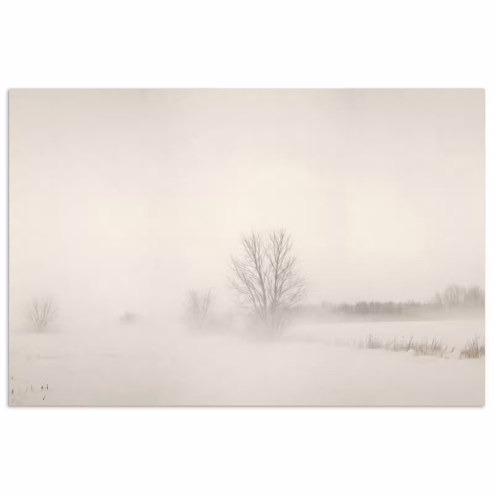 Poster - Boom - Mist - Sneeuw - Winter - Minimalistisch — 1