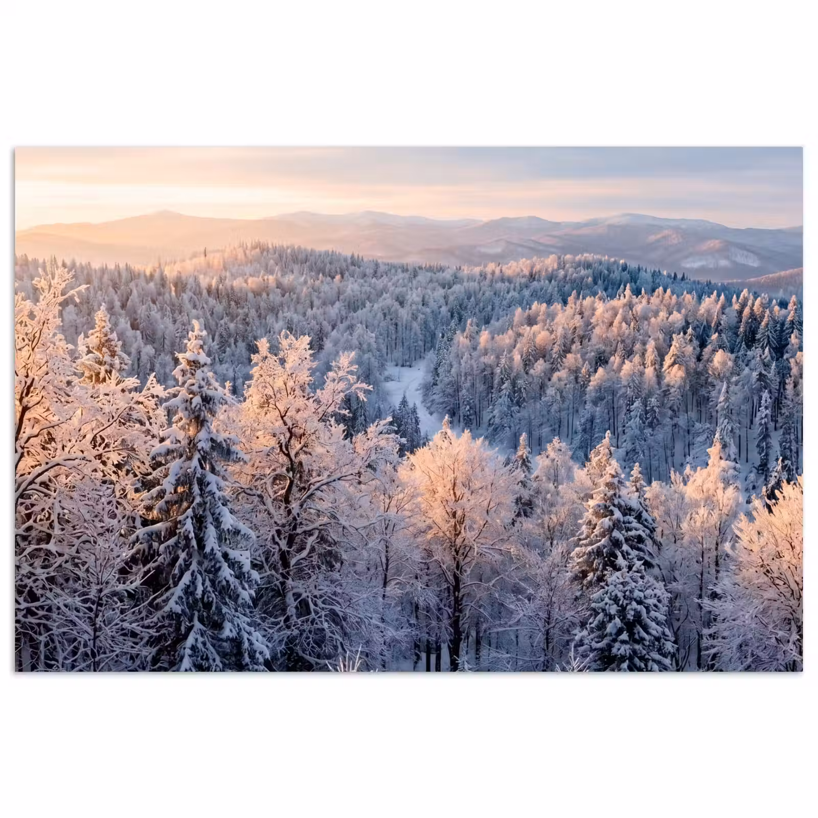 Poster - Bos - Bergen - Goud - Winter - Warm — 1