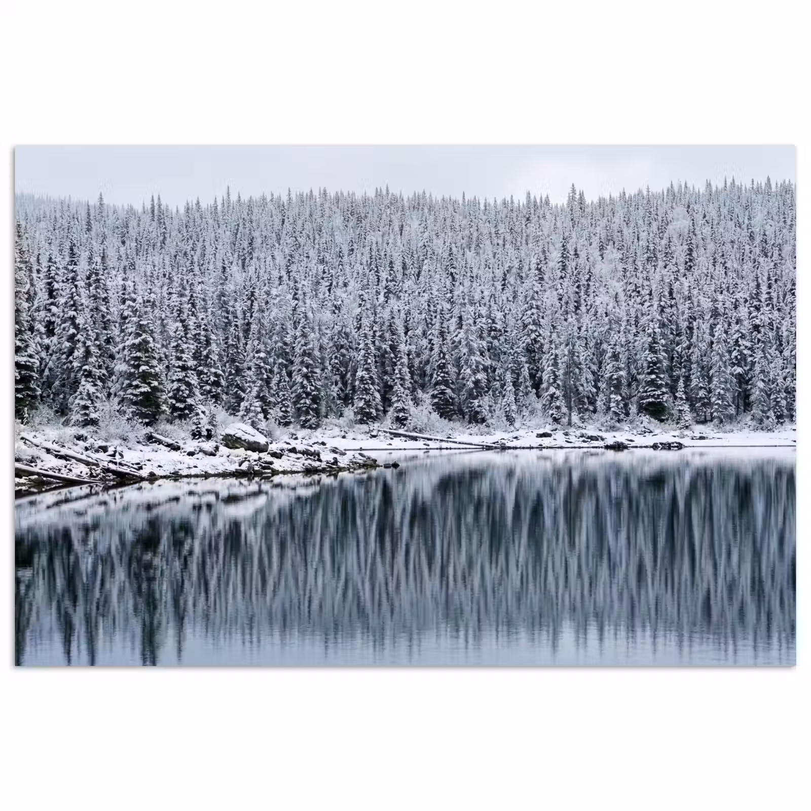 Poster - Bos - Reflectie - Meer - Winter - Serene — 1