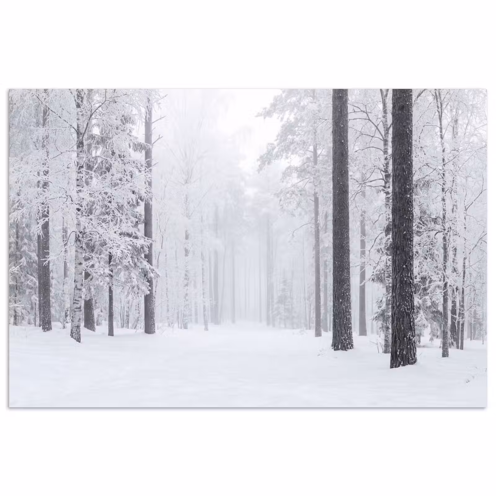 Poster - Bos - Sneeuw - Pad - Winter - Stilte — 1