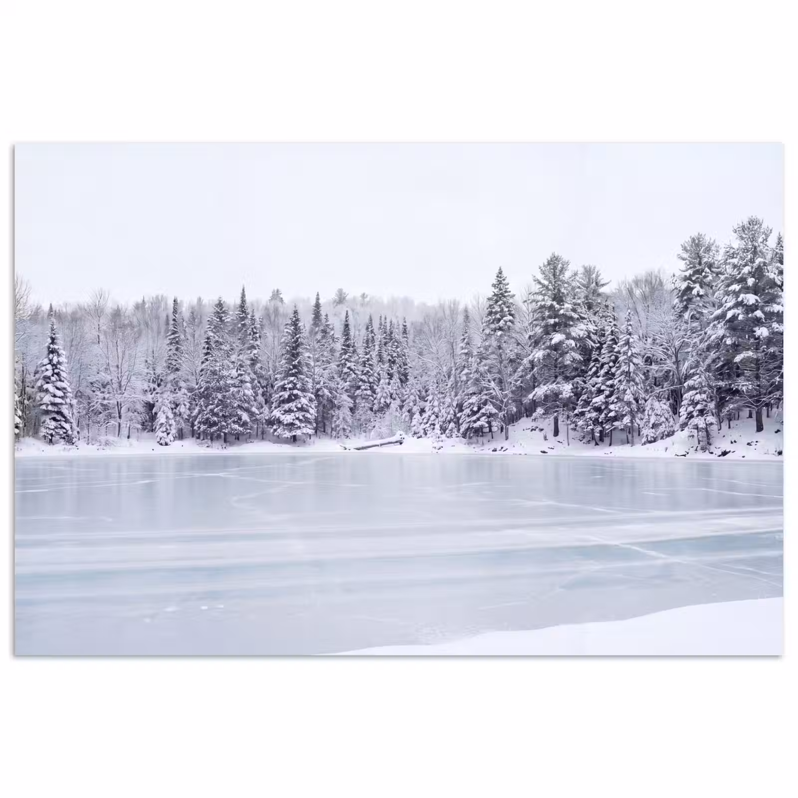 Poster - Meer - Dennen - IJs - Winter - Rustgevend — 1