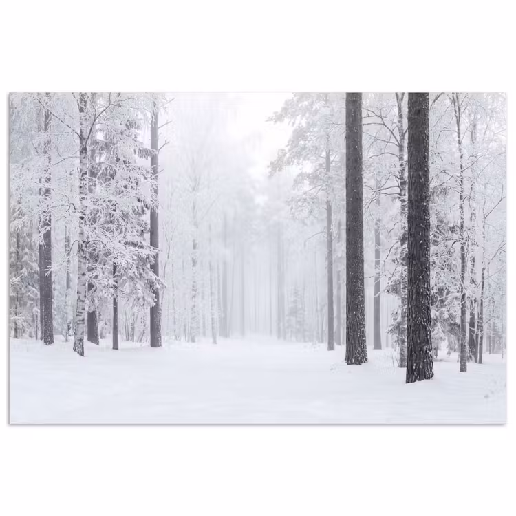 Poster - Bos - Sneeuw - Pad - Winter - Stilte — 1