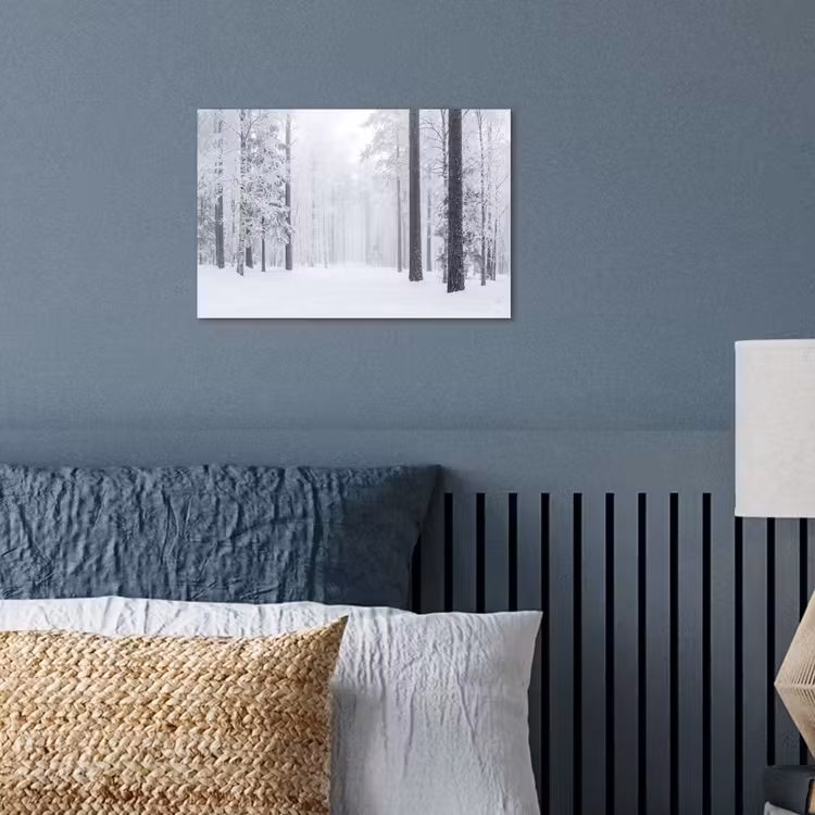 Poster - Bos - Sneeuw - Pad - Winter - Stilte — 3