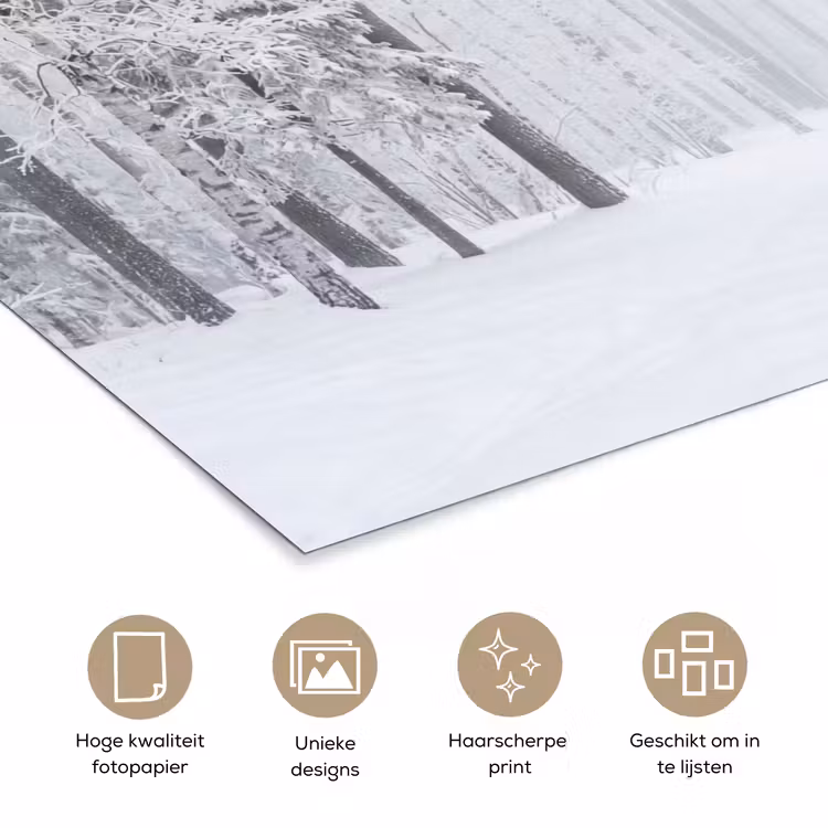 Poster - Bos - Sneeuw - Pad - Winter - Stilte — 5