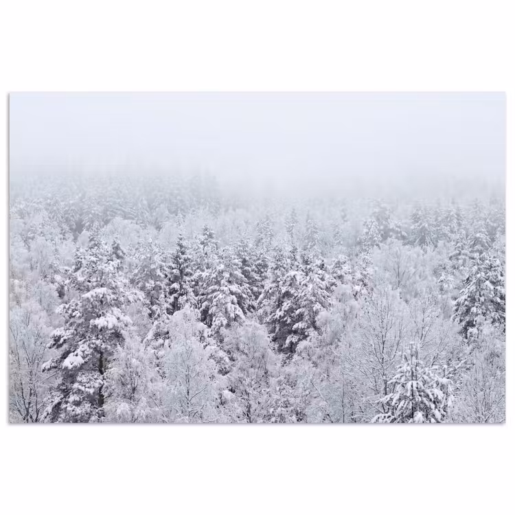 Poster - Bos - Sneeuw - Winter - Natuur - Wit — 1