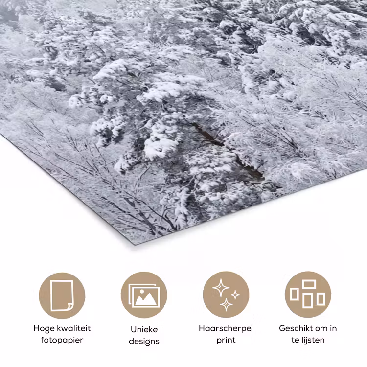 Poster - Bos - Sneeuw - Winter - Natuur - Wit — 5