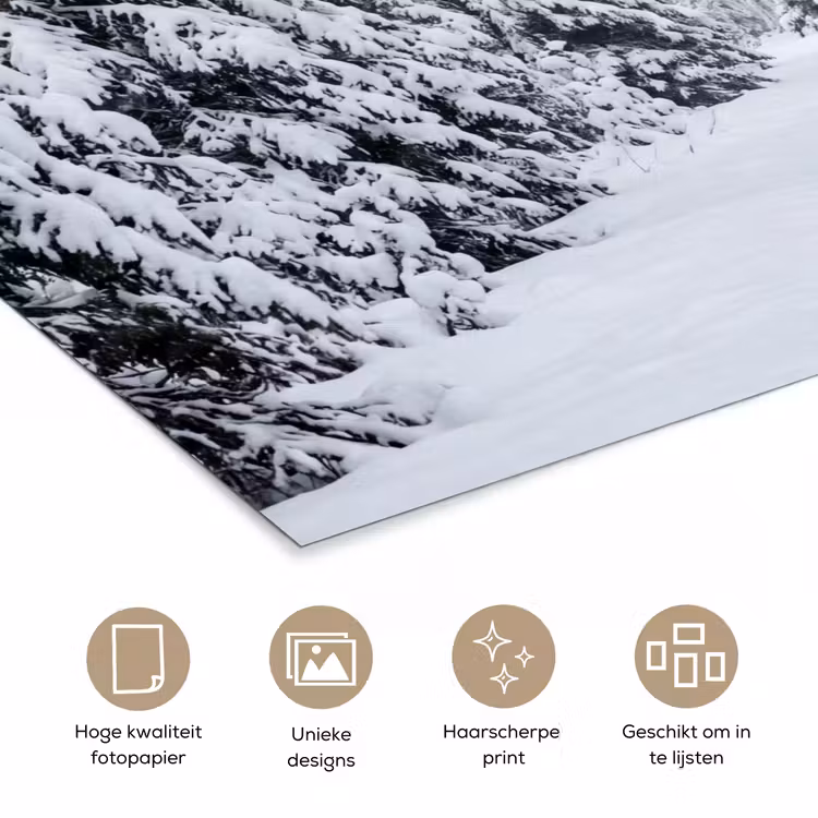 Poster - Bos - Winter - Sneeuw - Pad - Natuur — 5