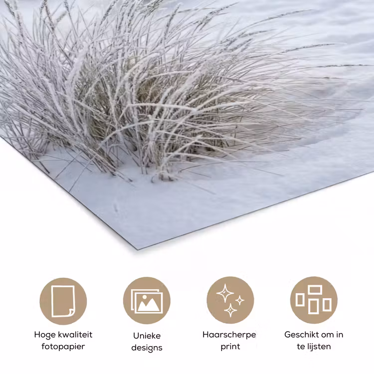 Poster - Duinen - Sneeuw - Strand - Winter - Serene — 5