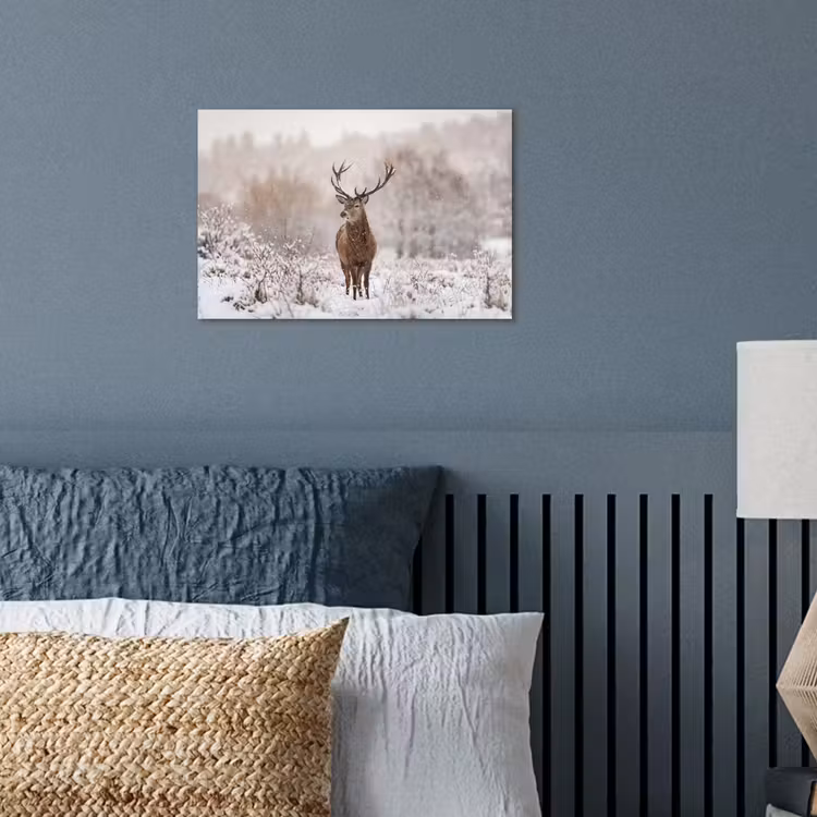 Poster - Edelhert - Bos - Sneeuw - Winter - Majestueus — 3