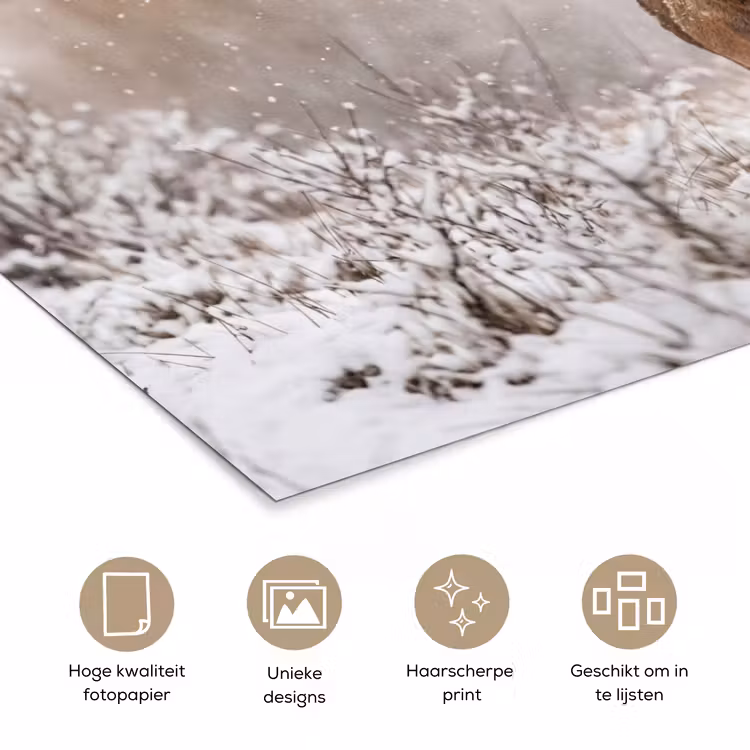 Poster - Edelhert - Bos - Sneeuw - Winter - Majestueus — 5
