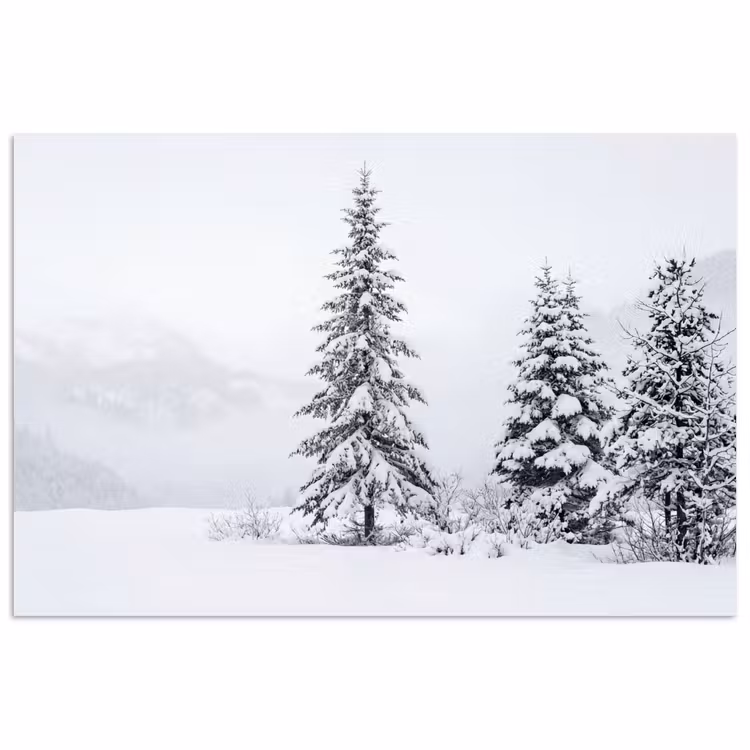 Poster - Fijnsparren - Sneeuw - Winter - Landschap - Stilte — 1