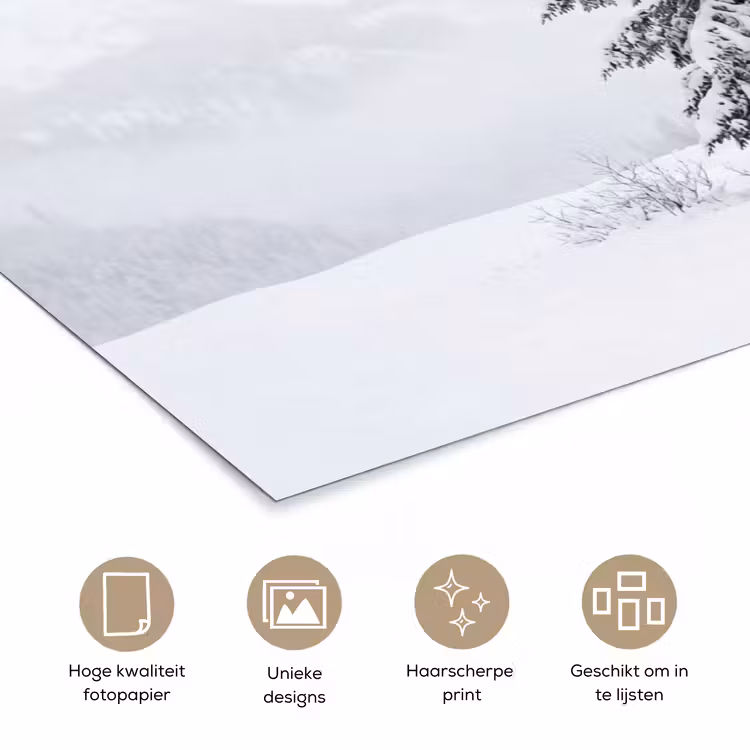 Poster - Fijnsparren - Sneeuw - Winter - Landschap - Stilte — 5
