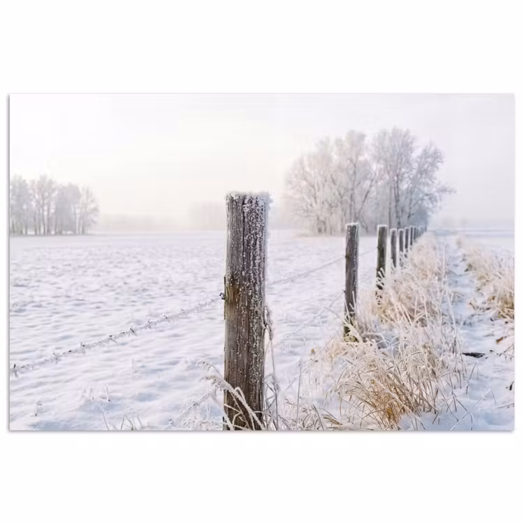 Poster - Hek - Sneeuw - Mist - Platteland - Nostalgisch — 1