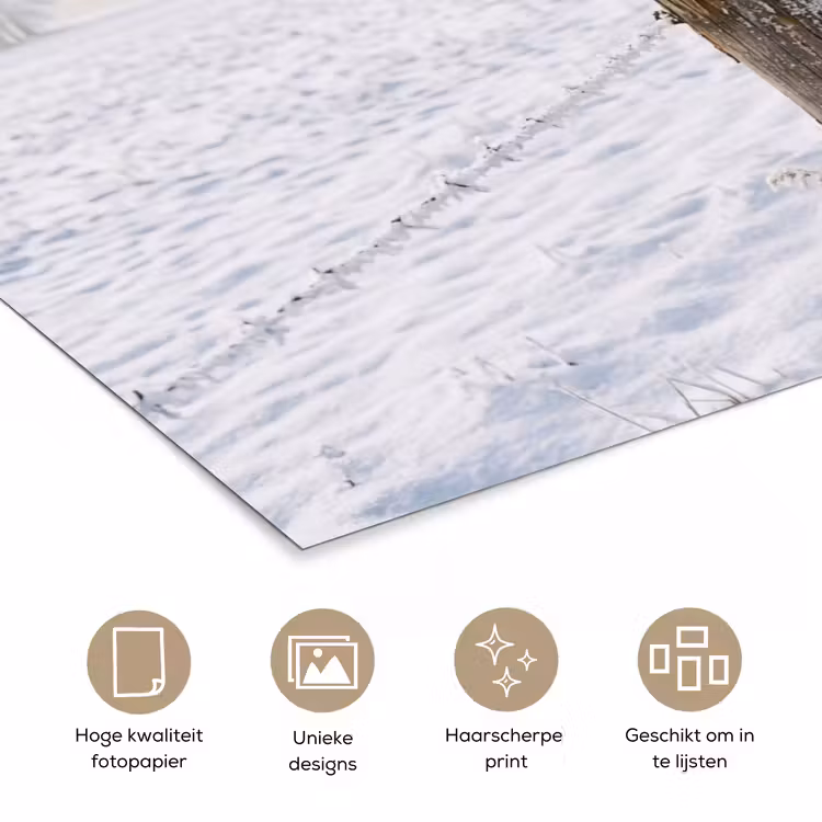 Poster - Hek - Sneeuw - Mist - Platteland - Nostalgisch — 5