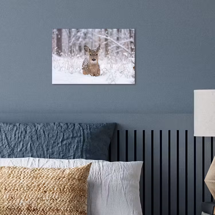 Poster - Hert - Sneeuw - Bos - Dieren - Vertederend — 3