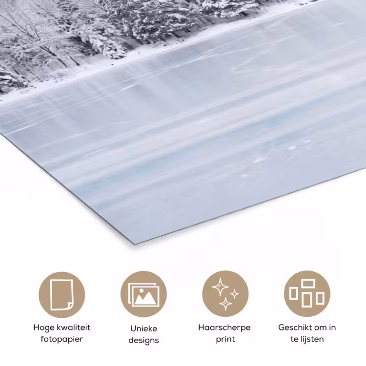 Poster - Meer - Dennen - IJs - Winter - Rustgevend — 5