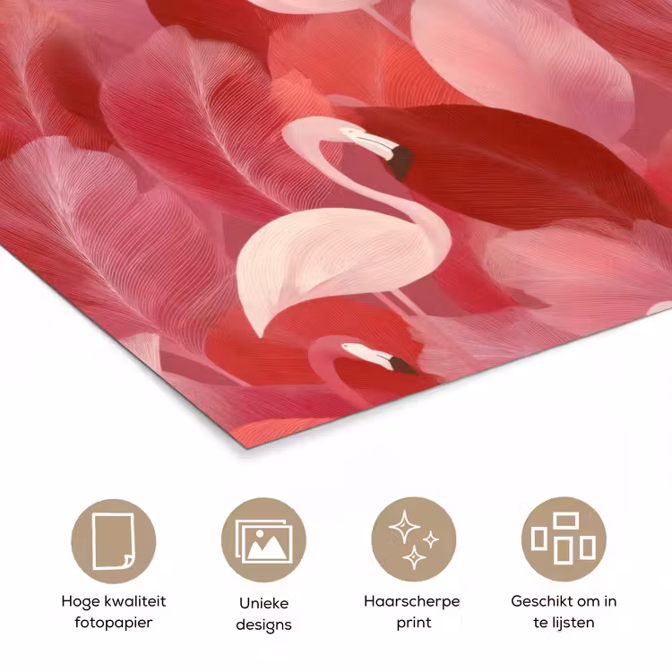 Poster - Flamingo - Botanisch - Elegant - Roze - Rood — 5