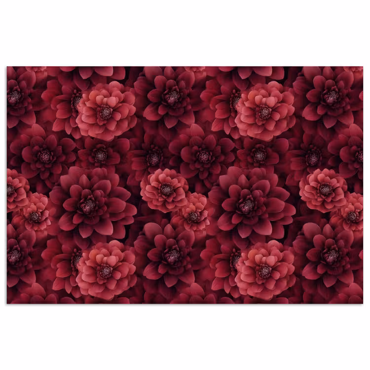 Poster - Dahlias - Bloemen - Rood — 1