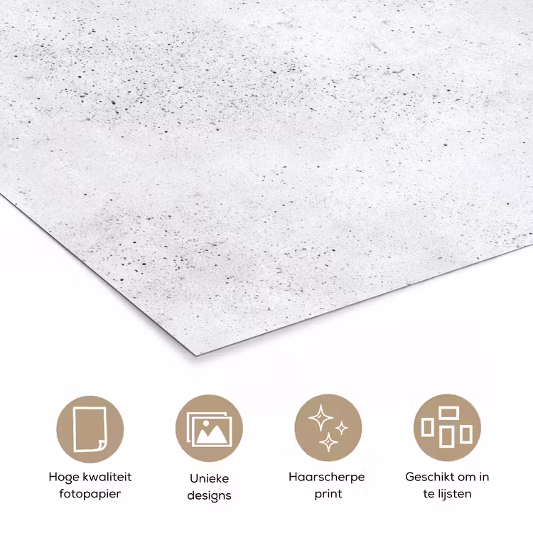Poster - Lichtgrijs - Betonstructuur - Subtiel — 5