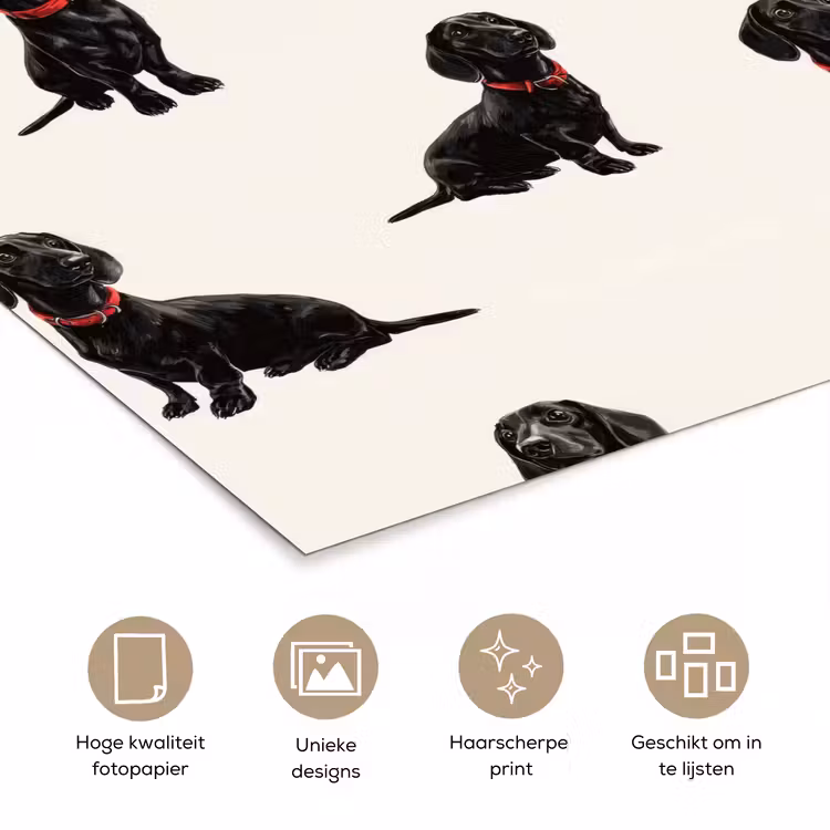 Poster - Hond - Patroon - Zwart — 5