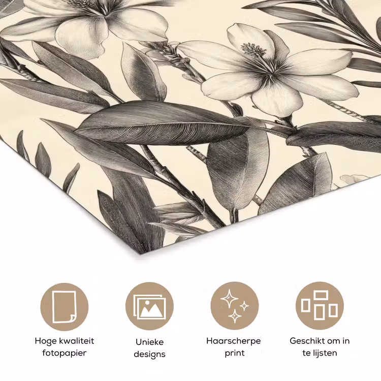 Poster - Klassiek - Botanisch - Zwart - Beige — 5