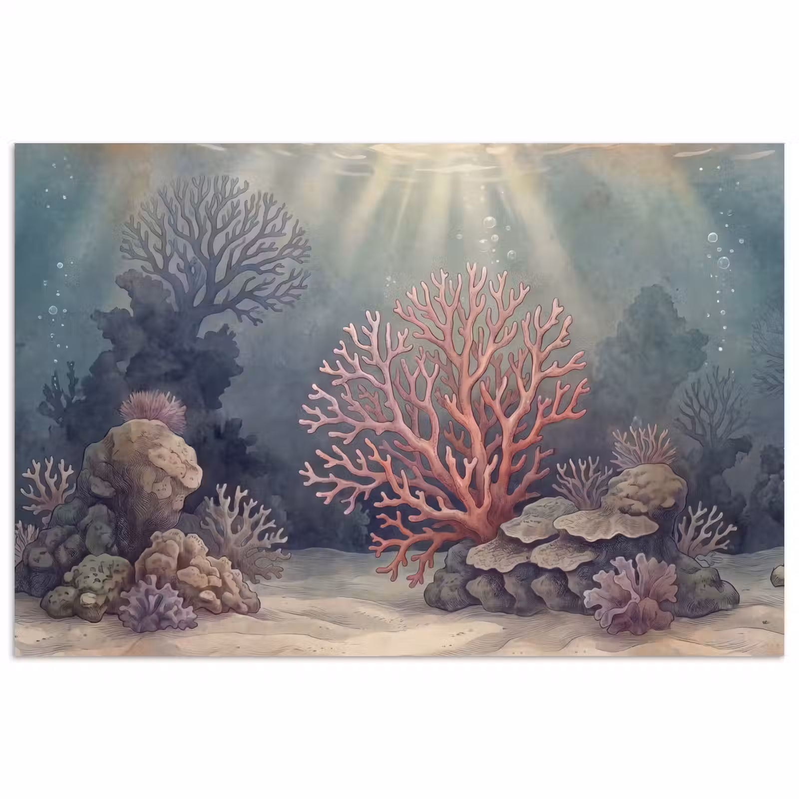 Poster - Koraal - Onderwater - Natuur - Roze — 1