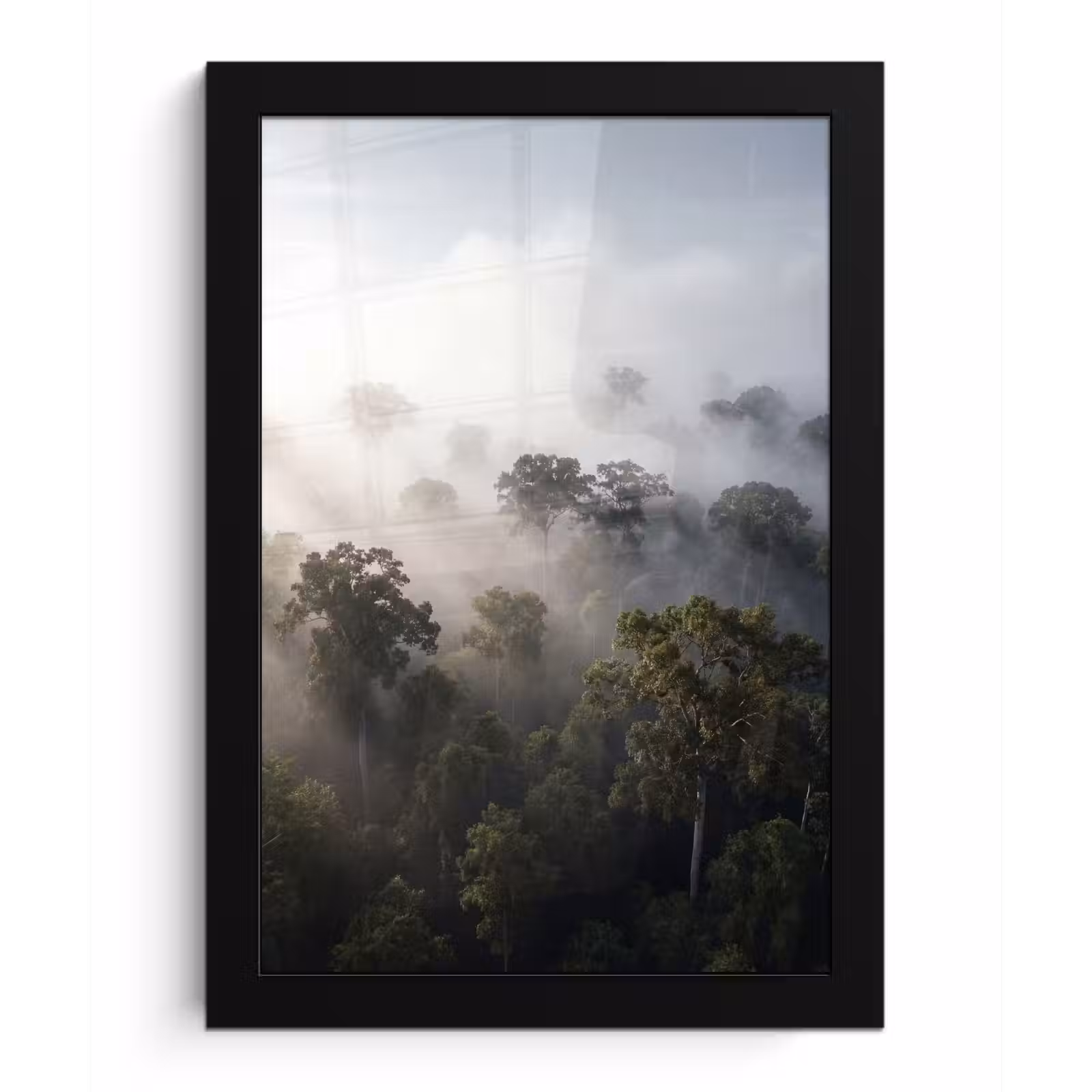 Poster met lijst - Bos - Mist - Natuur - Groen — 1