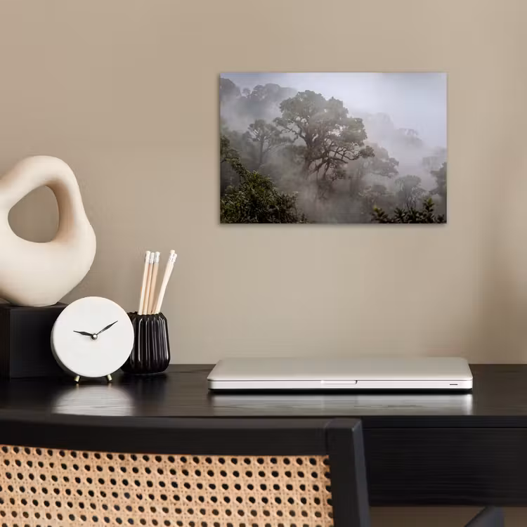 Poster - Boom - Mistig - Bos - Groen - Natuur — 2