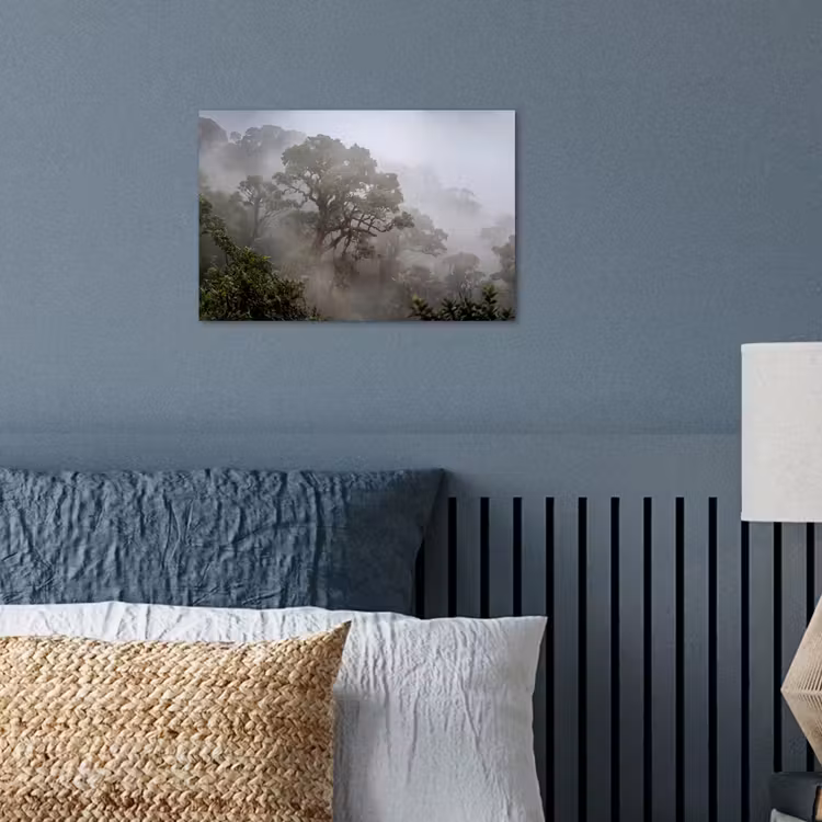 Poster - Boom - Mistig - Bos - Groen - Natuur — 3