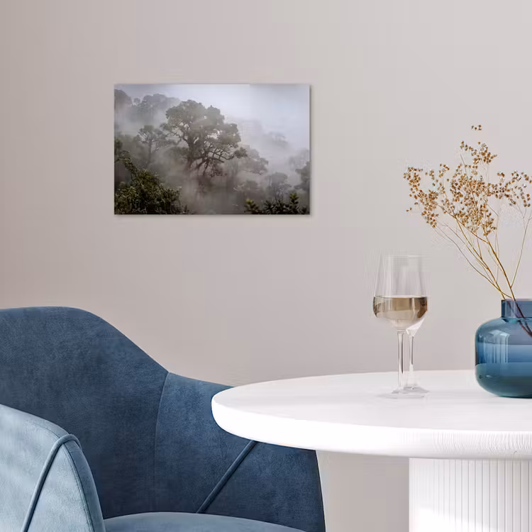 Poster - Boom - Mistig - Bos - Groen - Natuur — 4