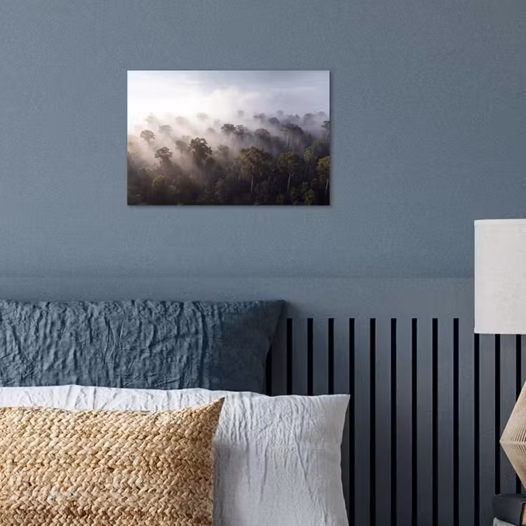 Poster - Bos - Mist - Natuur - Groen — 3