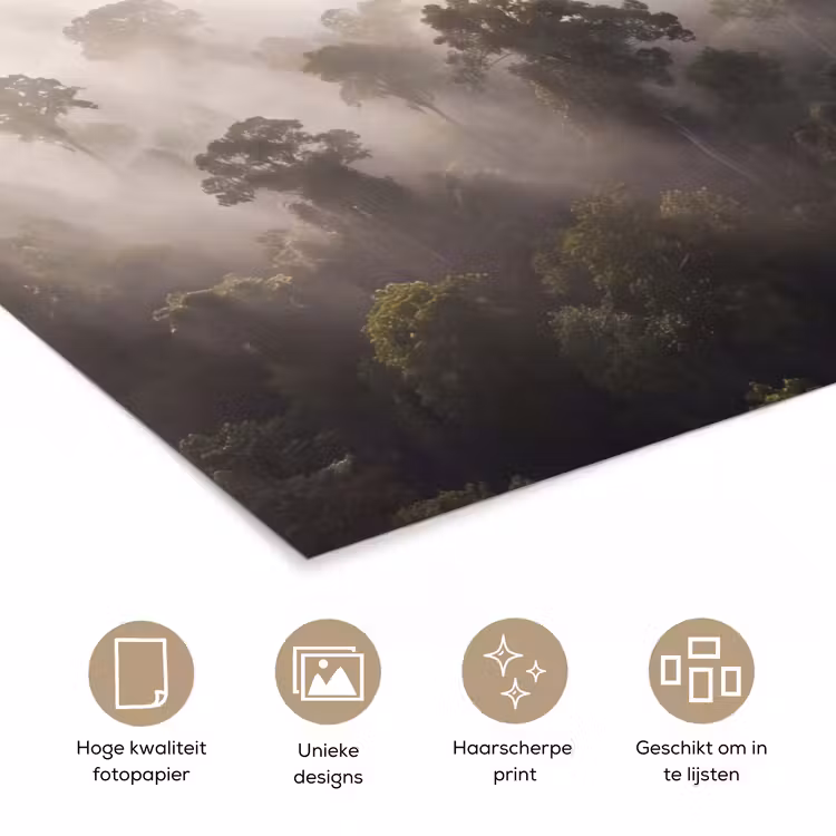 Poster - Bos - Mist - Natuur - Groen — 5