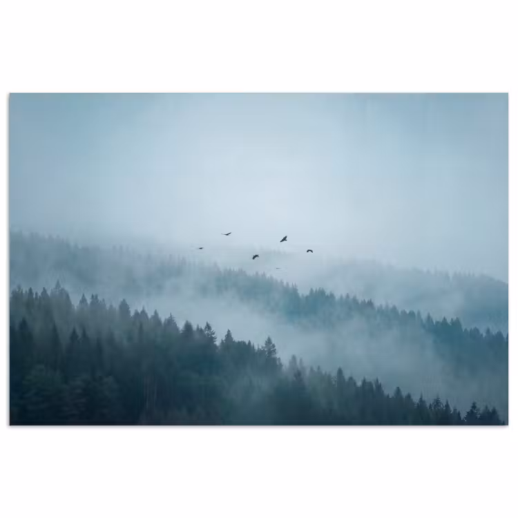 Poster - Bos - Mist - Vogels - Natuur - Groen — 1