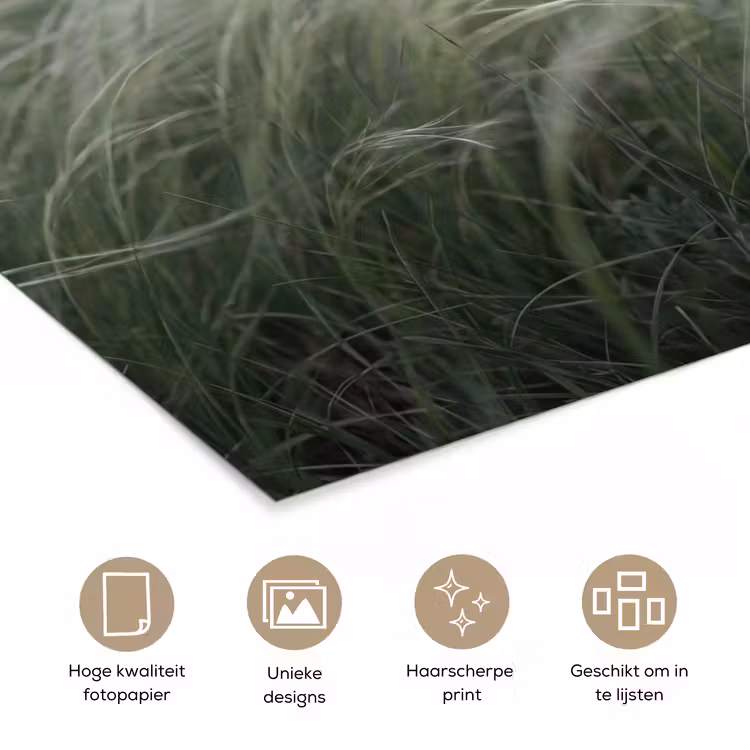 Poster - Gras - Wazig - Natuur - Groen - Zacht — 5