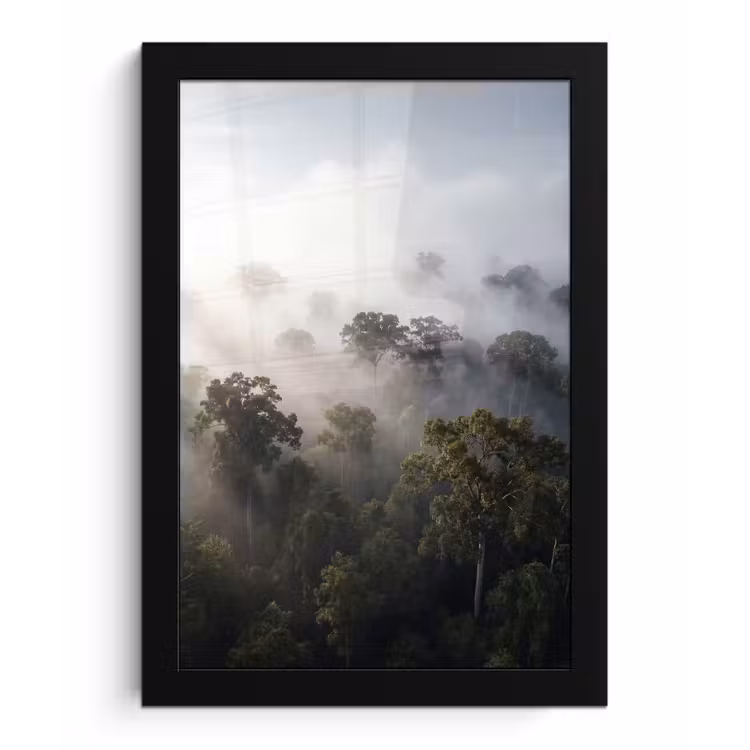 Poster met lijst - Bos - Mist - Natuur - Groen — 1