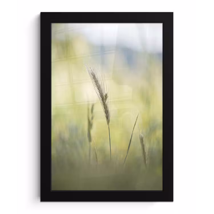 Poster met lijst - Graan - Aar - Natuur - Groen - Detail — 1
