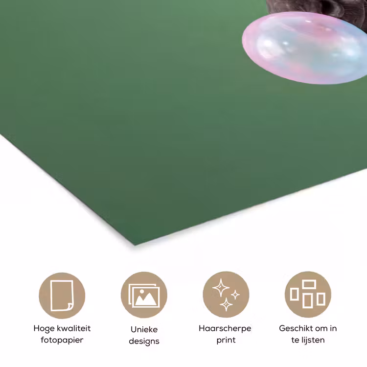 Poster - Dier - Bril - Bel - Modern - Groen — 5